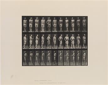 EADWARD MUYBRIDGE (1830-1904) A selection of 54 plates from Animal Locomotion.